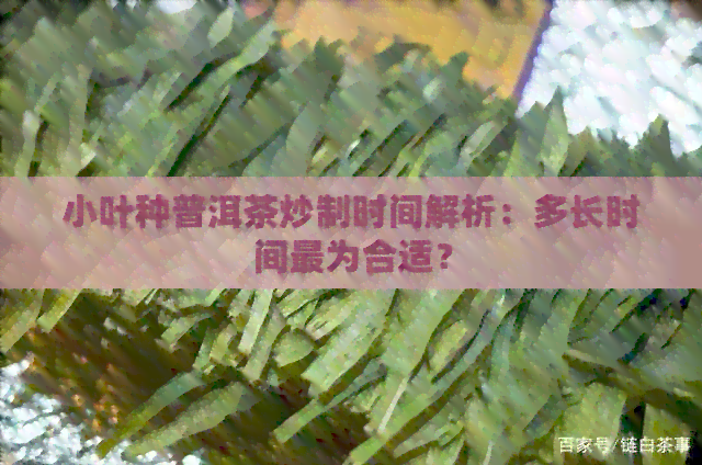 小叶种普洱茶炒制时间解析：多长时间最为合适？