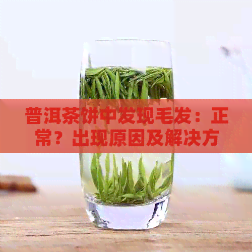 普洱茶饼中发现毛发：正常？出现原因及解决方法探讨