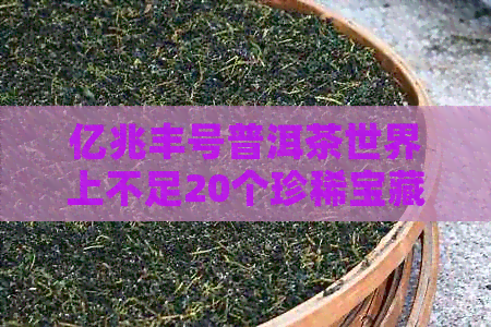 亿兆丰号普洱茶世界上不足20个珍稀宝藏，品鉴其独特魅力！