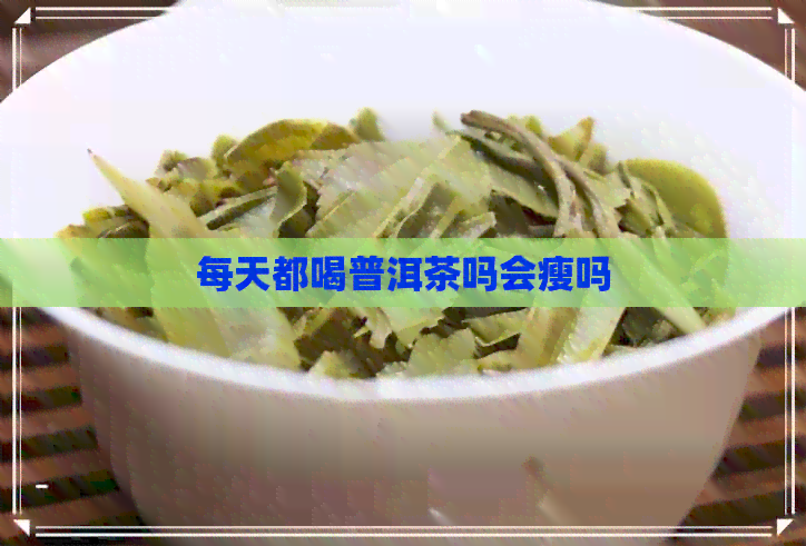 每天都喝普洱茶吗会瘦吗