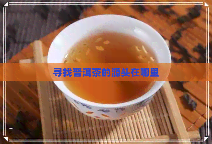 寻找普洱茶的源头在哪里