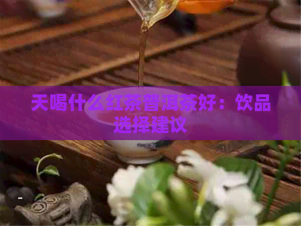 天喝什么红茶普洱茶好：饮品选择建议