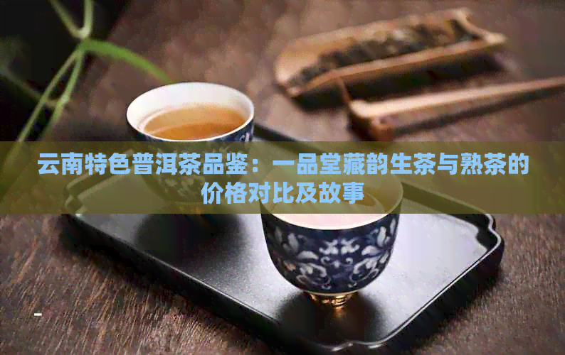 云南特色普洱茶品鉴：一品堂藏韵生茶与熟茶的价格对比及故事