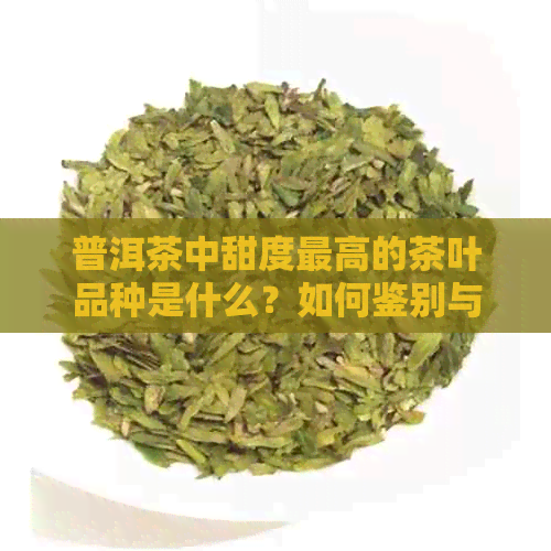 普洱茶中甜度更高的茶叶品种是什么？如何鉴别与品尝？