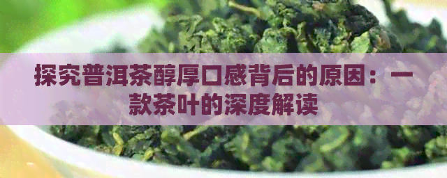 探究普洱茶醇厚口感背后的原因：一款茶叶的深度解读