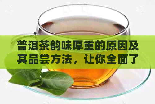 普洱茶韵味厚重的原因及其品尝方法，让你全面了解普洱茶的魅力