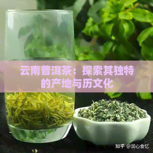 云南普洱茶：探索其独特的产地与历文化