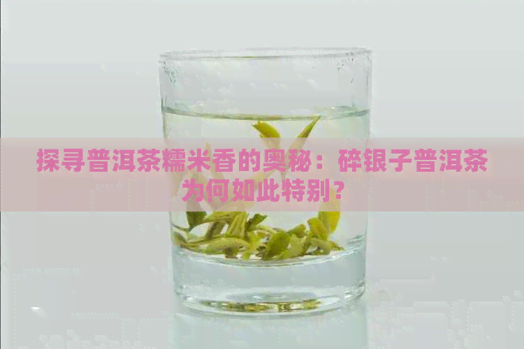 探寻普洱茶糯米香的奥秘：碎银子普洱茶为何如此特别？