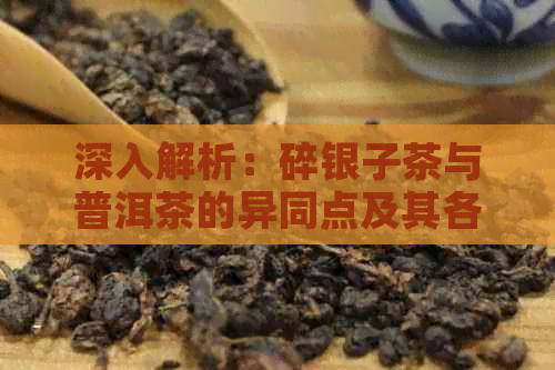 深入解析：碎银子茶与普洱茶的异同点及其各自的特点