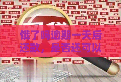 饿了吗逾期一天后还款，是否还可以继续使用以及可能的影响