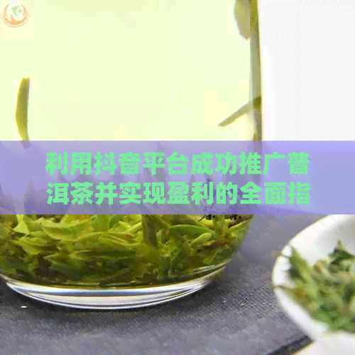 利用抖音平台成功推广普洱茶并实现盈利的全面指南