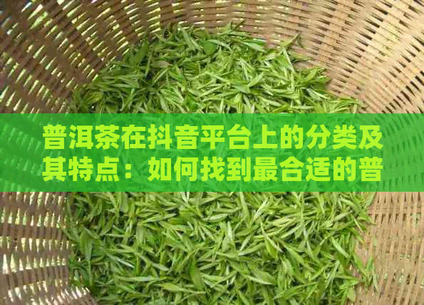 普洱茶在抖音平台上的分类及其特点：如何找到最合适的普洱茶？