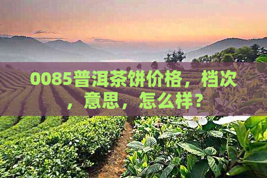 0085普洱茶饼价格，档次，意思，怎么样？