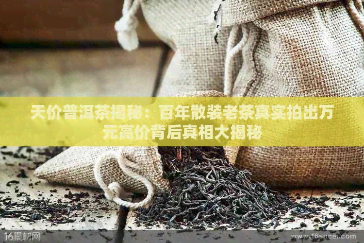 天价普洱茶揭秘：百年散装老茶真实拍出万元高价背后真相大揭秘