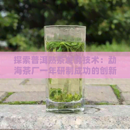 探索普洱熟茶发酵技术：勐海茶厂一年研制成功的创新之路