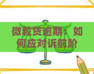 微粒贷逾期：如何应对诉前阶的挑战？