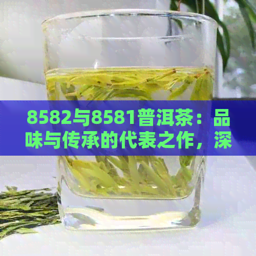 8582与8581普洱茶：品味与传承的代表之作，深入剖析两者的独特魅力