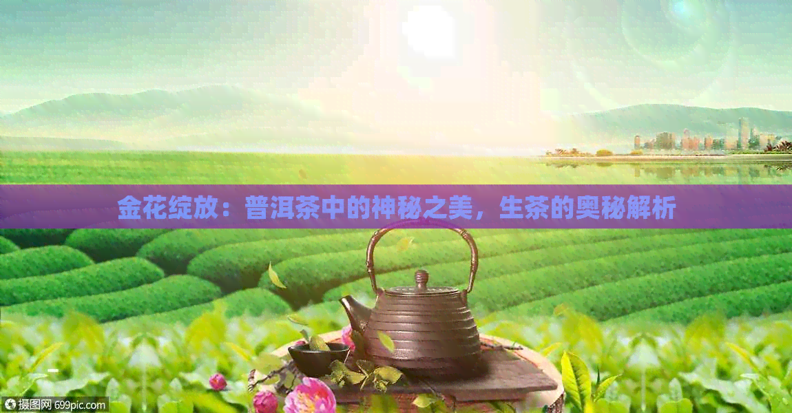 金花绽放：普洱茶中的神秘之美，生茶的奥秘解析