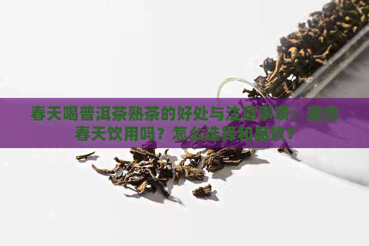 春天喝普洱茶熟茶的好处与注意事项：适合春天饮用吗？怎么选择和品饮？