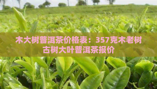 木大树普洱茶价格表：357克木老树古树大叶普洱茶报价