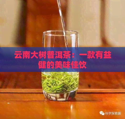 云南大树普洱茶：一款有益健的美味佳饮