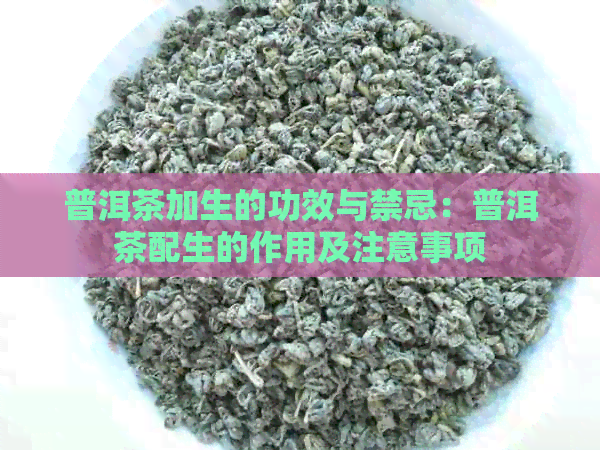 普洱茶加生的功效与禁忌：普洱茶配生的作用及注意事项