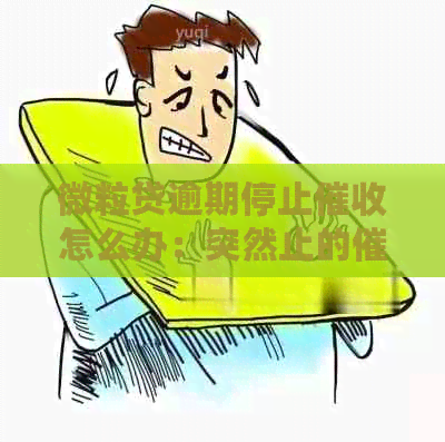 微粒贷逾期停止怎么办：突然止的处理指南