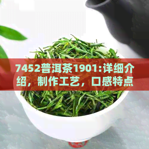 7452普洱茶1901:详细介绍，制作工艺，口感特点，收藏价值及品鉴技巧