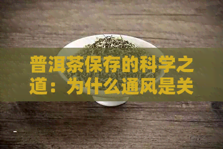 普洱茶保存的科学之道：为什么通风是关键因素？