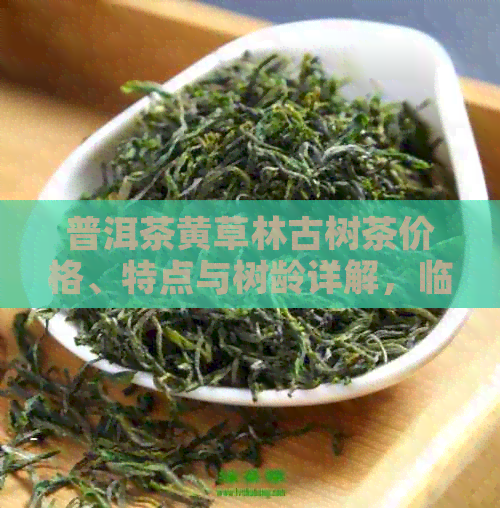 普洱茶黄草林古树茶价格、特点与树龄详解，临沧市黄草林的独特魅力