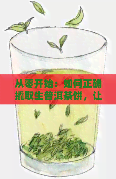 从零开始：如何正确撬取生普洱茶饼，让你品出口感与香气