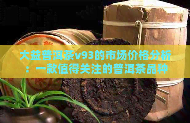 大益普洱茶v93的市场价格分析：一款值得关注的普洱茶品种