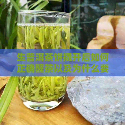 生普洱茶饼撬开后如何正确醒茶以及为什么要进行醒茶？