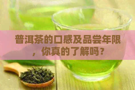 普洱茶的口感及品尝年限，你真的了解吗？