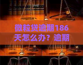 微粒贷逾期186天怎么办？逾期还款后果、解决方案及如何规划资金