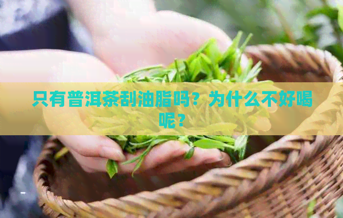 只有普洱茶刮油脂吗？为什么不好喝呢？