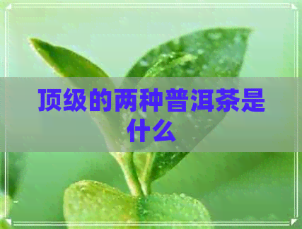 顶级的两种普洱茶是什么