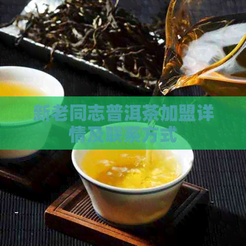 新老同志普洱茶加盟详情及联系方式