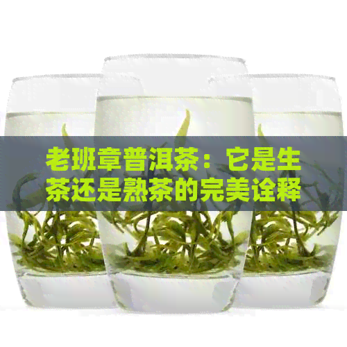 老班章普洱茶：它是生茶还是熟茶的完美诠释