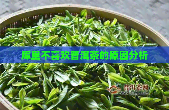 库里不喜欢普洱茶的原因分析