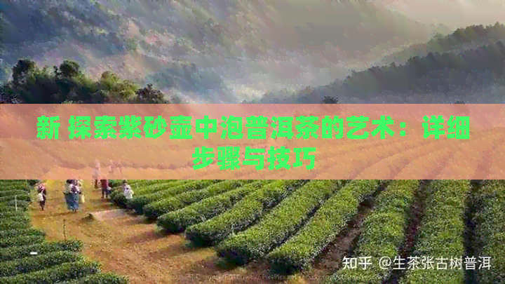 新 探索紫砂壶中泡普洱茶的艺术：详细步骤与技巧