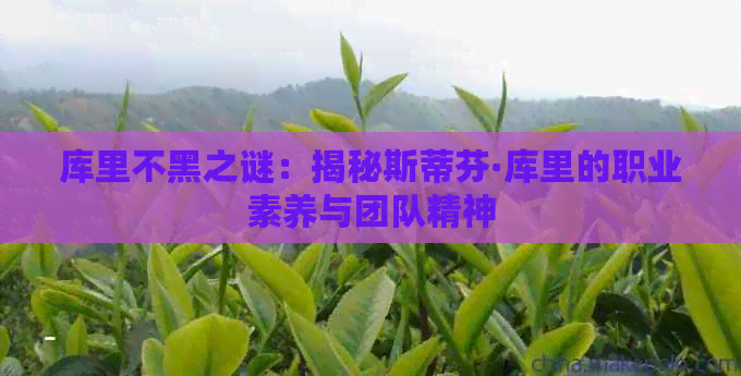 库里不黑之谜：揭秘斯蒂芬·库里的职业素养与团队精神