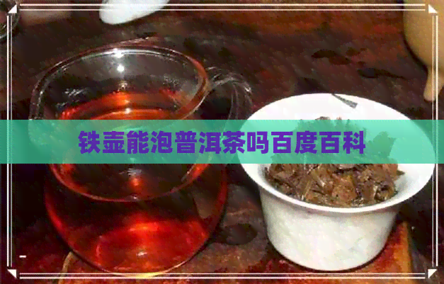 铁壶能泡普洱茶吗百度百科