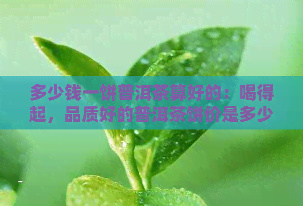 多少钱一饼普洱茶算好的：喝得起，品质好的普洱茶饼价是多少？