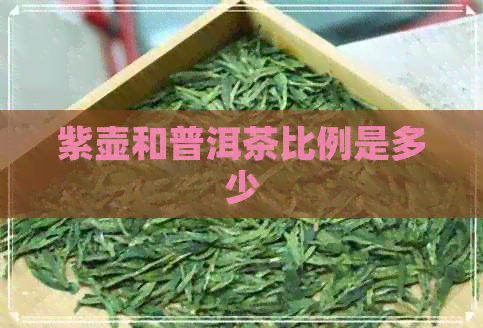 紫壶和普洱茶比例是多少