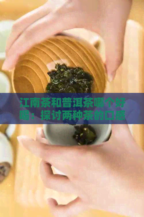 江南茶和普洱茶哪个好喝：探讨两种茶的口感差异