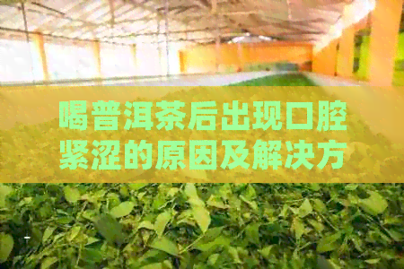 喝普洱茶后出现口腔紧涩的原因及解决方法