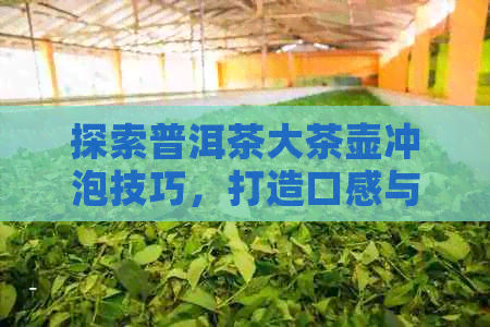 探索普洱茶大茶壶冲泡技巧，打造口感与香气的完美融合