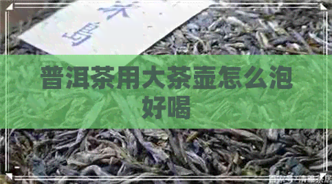 普洱茶用大茶壶怎么泡好喝