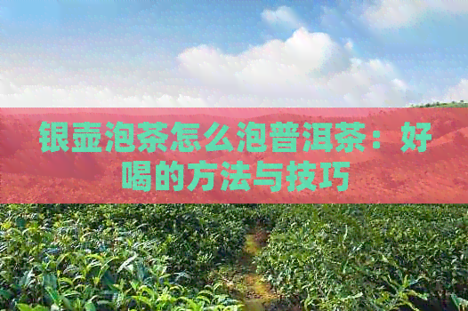 银壶泡茶怎么泡普洱茶：好喝的方法与技巧